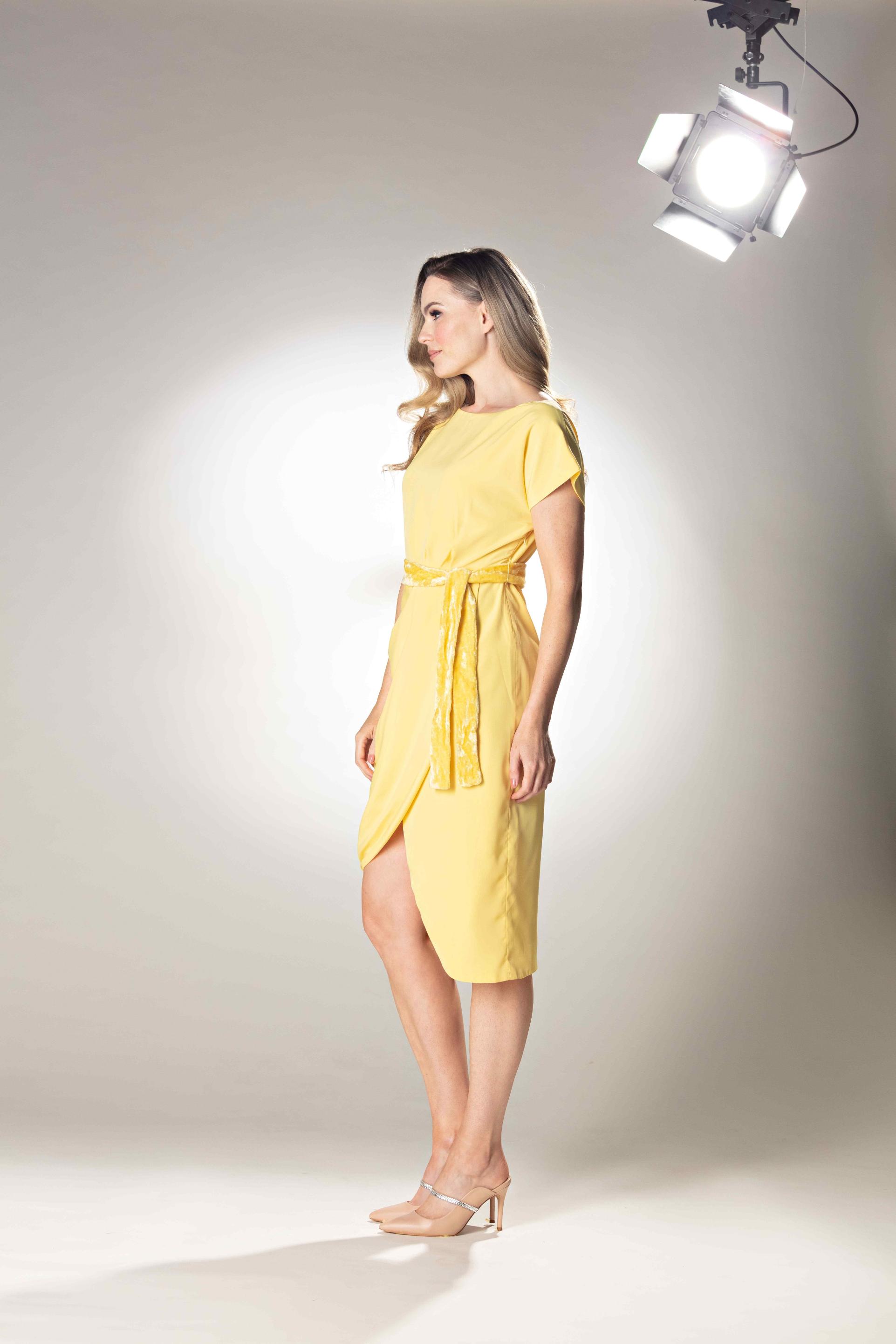 Bird Embroidered Wrap Yellow Style Dress